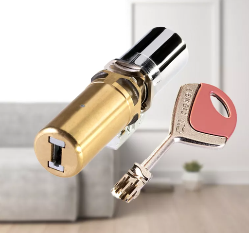 Canon FICHET pour Protecdoor / Protecdoor +